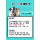청도펫동물병원 이미지