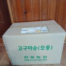 한얼농장 이미지