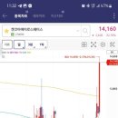 진목살참숯돼지 이미지