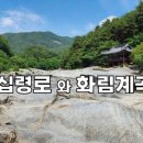 농월정