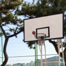 동삼초등학교 이미지