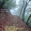 초록빛 이미지