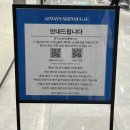 명보아이엔씨갤러리아주 | 롤렉스 실물 영접 (서브마리너, 데이토나) + 온라인예약 성공 후기 (매장별 예약처, 예약꿀팁)