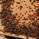 인기농장 이미지