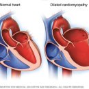 행복사랑동물병원 이미지