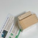 백이산 | 백이산 편백 - 편백 컵 받침 세트 사용 후기🪵🌱 (선물 추천, 친환경 제품 추천)