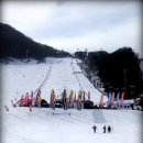 제2회 지산배 오픈 스키 챔패온쉽 2부... 최후의 결전 이미지
