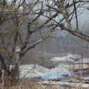 즘골마을 이미지