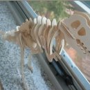 신나는 과학교실 2 이미지