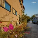 YJ요양원 이미지