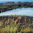 제주하늘지기 이미지