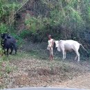 대지농축산