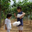 성원농장2 이미지