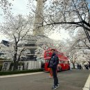 놀이기구 : 스카이웨이, 제트레이스, 회전목마 / 비...83타워 포토존, 범퍼카, 블러디삐에로하우스_ 이월드