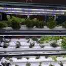 시냇물 2 농장 이미지