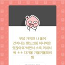 문어의꿈 이미지