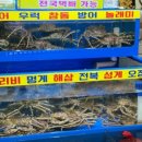 싱싱활어회수산 이미지