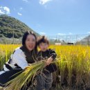 장선마을 이미지