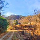 태자농장 이미지