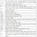 프리크로스핏 이미지
