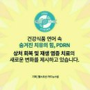 철마 이미지