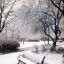 씨앗농부 이미지