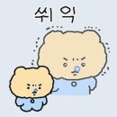 카페빈세트