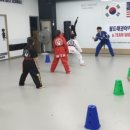 팽성태권도체육관 이미지