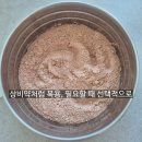주성건강약국 | 공진단 복용기간, 매일 먹나요? 얼마나 먹어야 하죠? [추천하는 방법]