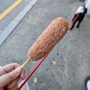 내유길 | 피터펫츠 내유점 후기_재방문의사 1000%