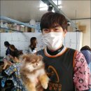 킴스애견미용실 이미지
