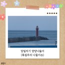 세븐일레븐홍천점 | 나들이 (fe.폭설주의) 후진항 회센터, 바다뷰제빵소, 세븐일레븐 양양르부르낙산점, 라라의 아늑한홈