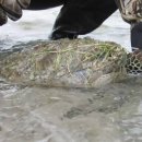 (주)거북 이미지