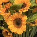 판교검도 | 하늘이 우중충해도 금요일 퇴근길이라면 그건 화창한 날씨다