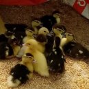 동녁골농장 이미지