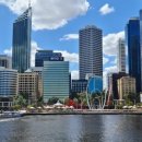 퍼스버거 이미지