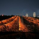 울산공업축제 & 낙화축제 1회 이미지