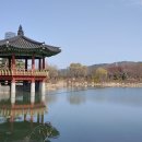 한밭수목원 동원 이미지