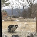 나무아래집 이미지