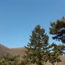 나무와새어린이집 이미지