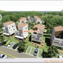 프렌치 비자림 이미지