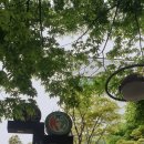 거성1차빌딩 이미지