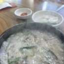 정자한마음약국 | 한마음, 인공수정 후 1일차-6일차 기록