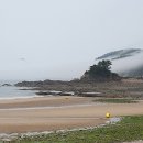 구룡포 - 평택시 세교상가1길 73 | 구룡포