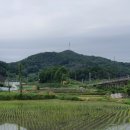 용와산성 이미지