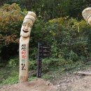 녹색길 이미지