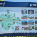 대덕리 | 충북 아쿠아리움: 괴산에서 만난 민물고기들의 세상! 메인수조X괴산댐 인공호수 연계 코스 꿀팁!