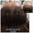 릿따 스타일 이미지