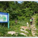 중앙선어시장 이미지