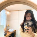 맨날 먹는 일상, 박방구의 차(tea)나눔, 태화농수산 한우 후기, 앙호두와 디저트, 춤추는 트리, 청송...